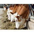 RFID and GPS Live Stock Location, Attributes Automation Monitor date and time of livestock entrance and exit of property along with indexing all ralated livestock attributes. Index history of movements and location.