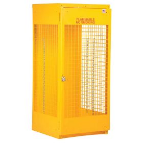 Gas Cylinder Cabinet - BCYL series