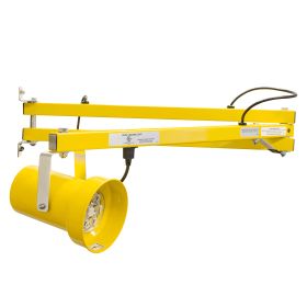 Loading Dock Spotlight - BDL, BFLDL, BDSDL and BSDL series