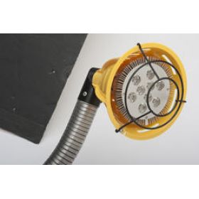 Snake Dock Light - Flexible Dock Lighting - BLL-GN series