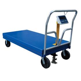 Mobile Scale - Platform Truck Scale - BSPT-SCL series