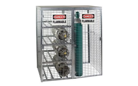 Cylinder Safety Cabinet - BSAF-T series