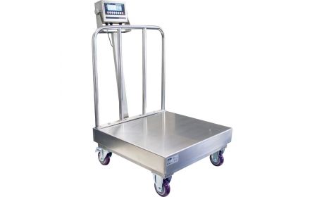 Industrial Portable Weighing Scale - BBS-915BW series