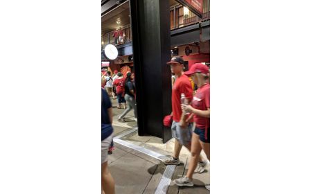 Structural Column Pads - BV-PAD Series